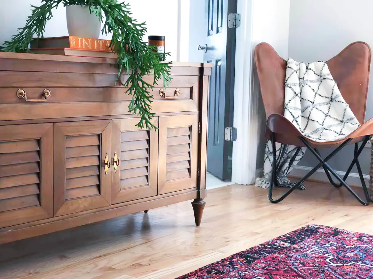 A cozy nook with a butterfly chair, wooden cabinet, textured rug, and decorative plant. The space feels inviting and casual, perfect for relaxing indoors with a pet nearby after exploring or taking a stroll.